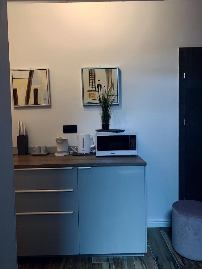 Apartment Przyjemne W Sercu Poznania *